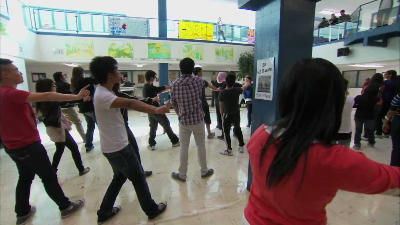 M.E. LaZerte High School: Programming for Success