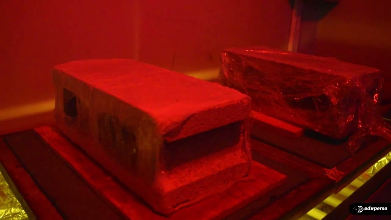 Lección 9. SERIGRAFIA PROFESIONAL DESDE CERO  I EMULSIONADO Y EXPOSICION2