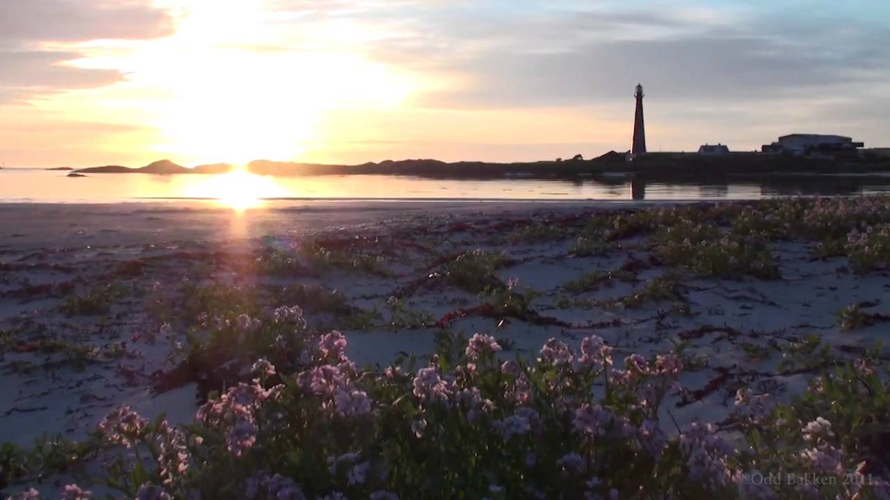 Sommerkveldsminne av Bjarne Olsen - Bleik