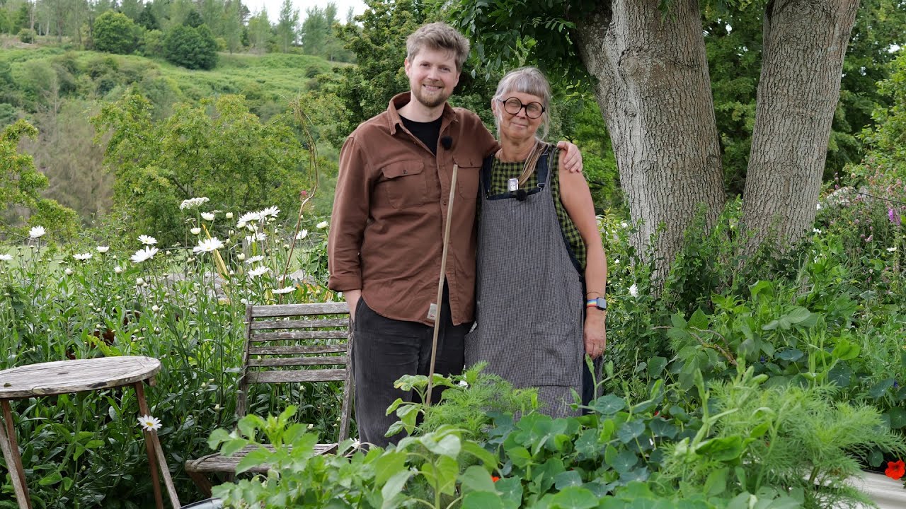 Exploring Scottish Gardens: The Cottage In The Valley
