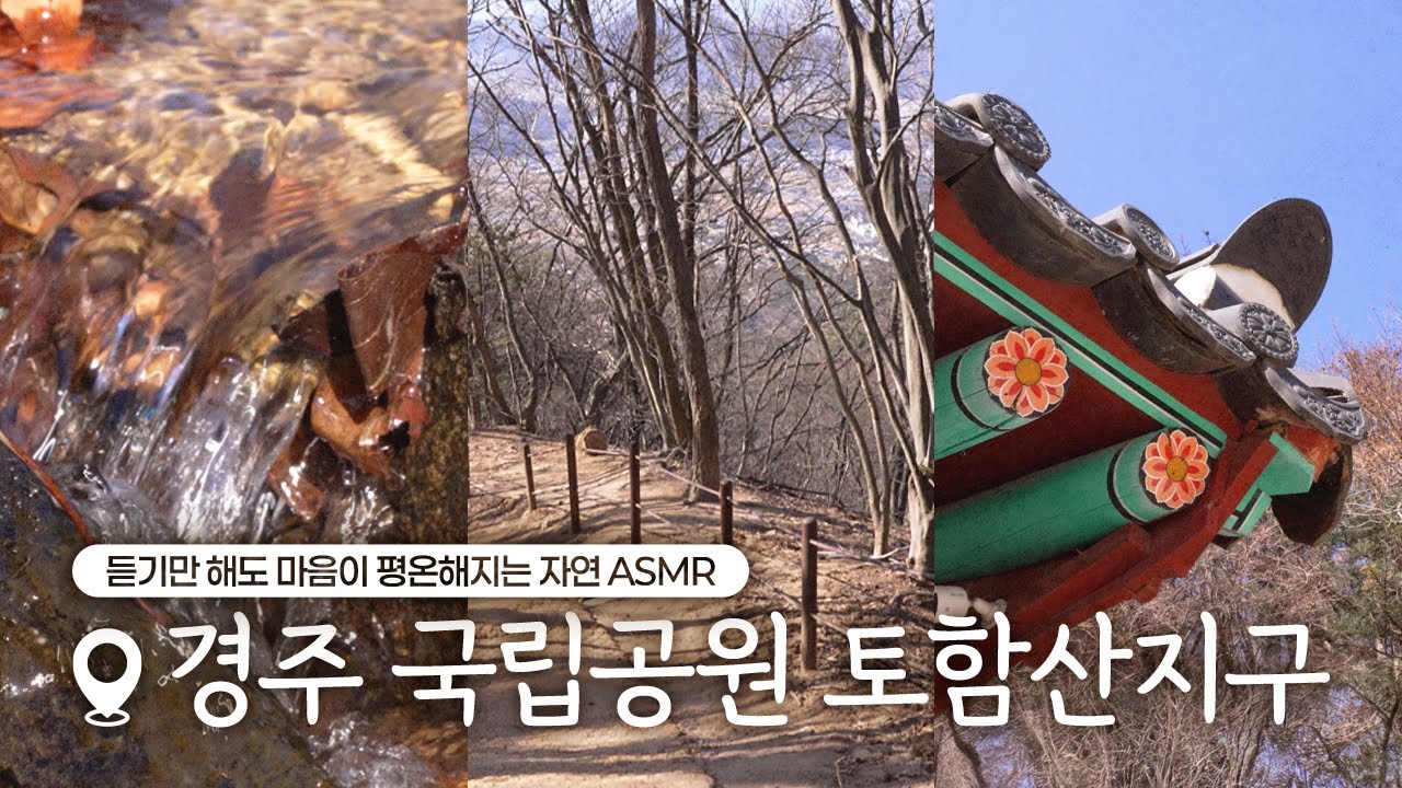 [경주의 소리] 듣기만 해도 마음이 평온해지는 경주 산속 ASMRㅣ산을담다편