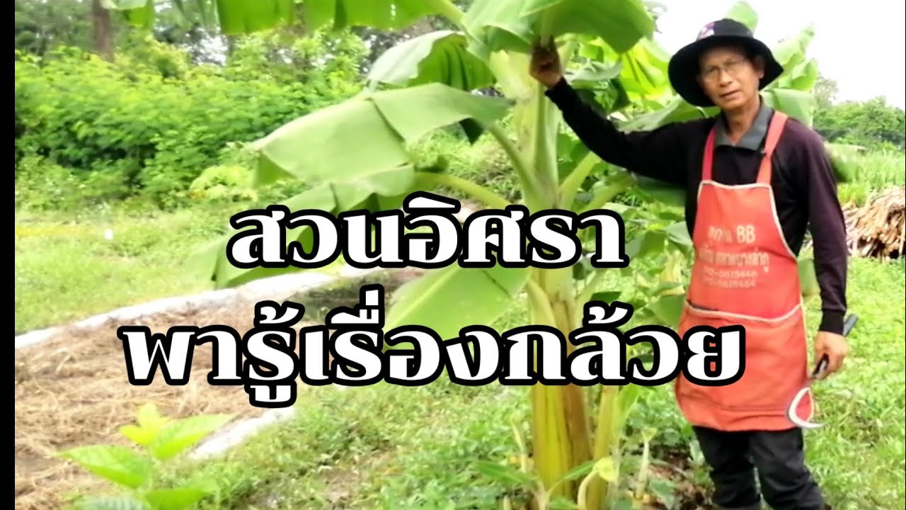 สวนอิศราพารู้เรื่องกล้วย..