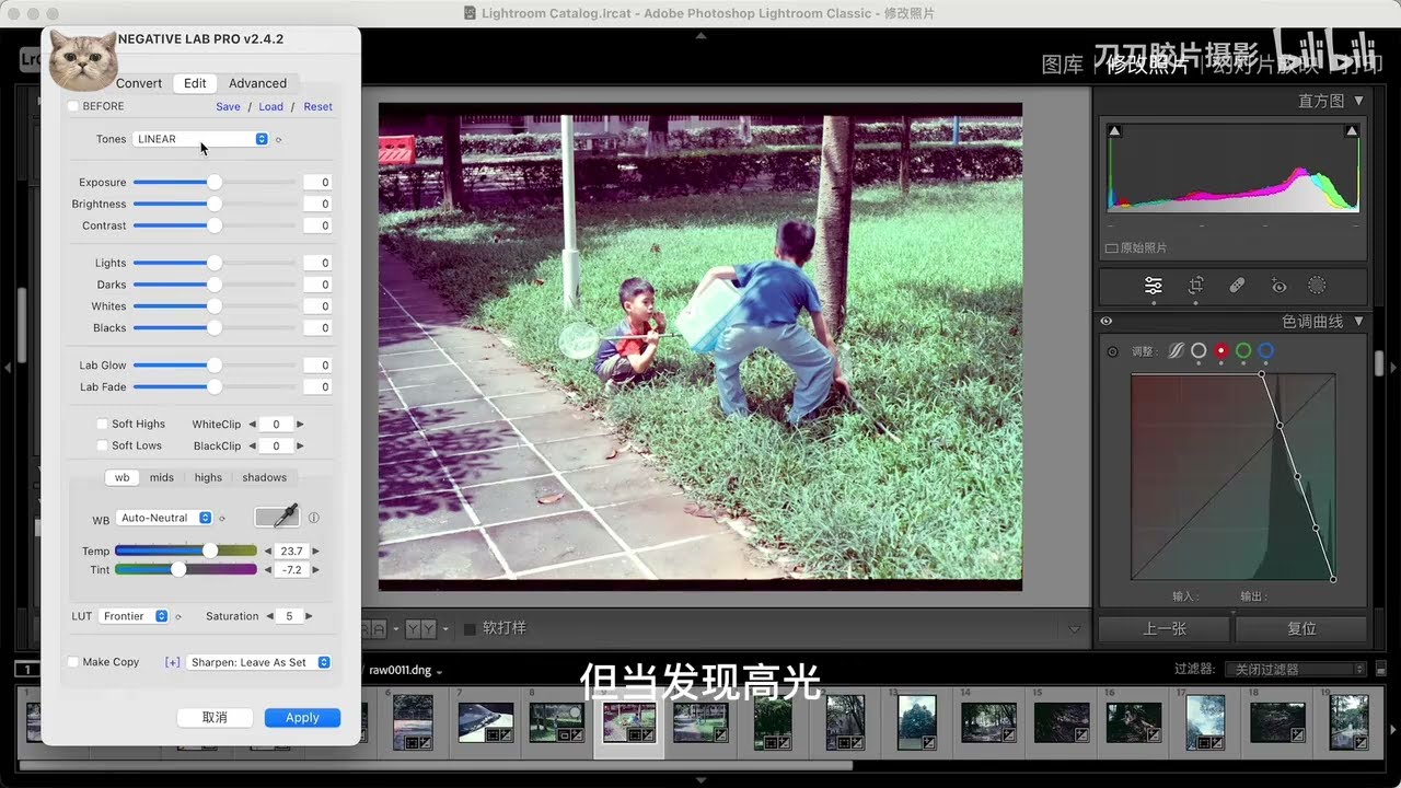 【刀刀胶片摄影】lr去色罩插件nlp的最佳使用方式 Negative Lab Pro lightroom