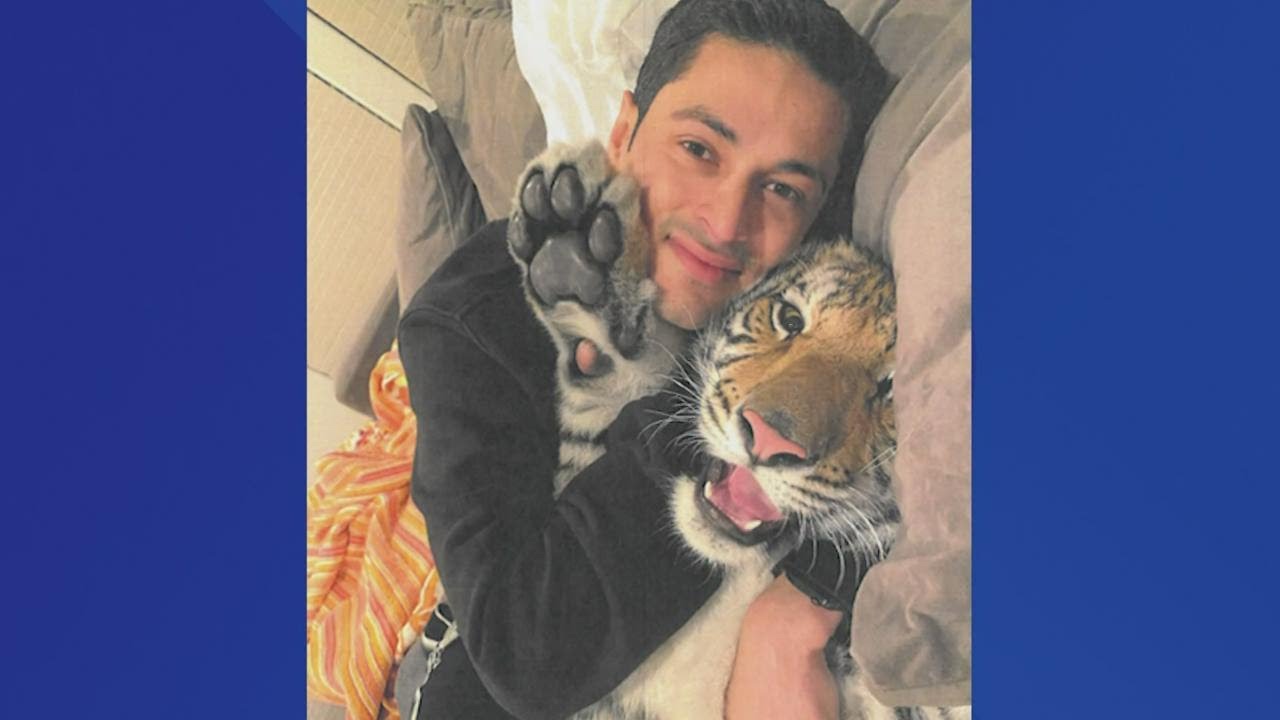 Victor Cuevas' attorney releases new photos, video of client with India the tiger