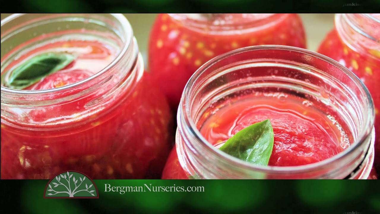 Bergman Nurseries - Get The Dirt - Tomatoes