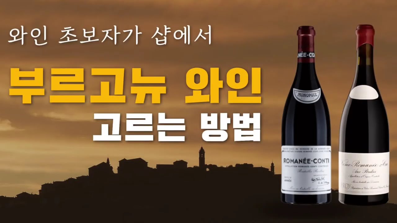 실패없이 부르고뉴 와인 구입하는 방법 | 피노누아, 샤도네이 추천 | 대표 생산자