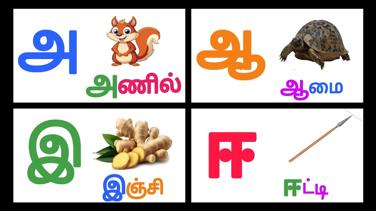 அ ஆ இ ஈ எழுத்தில் தொடங்கும் சொற்கள் |அ ஆ இ ஈ அரிச்சுவடி | @KTSKIDSLEARNING 