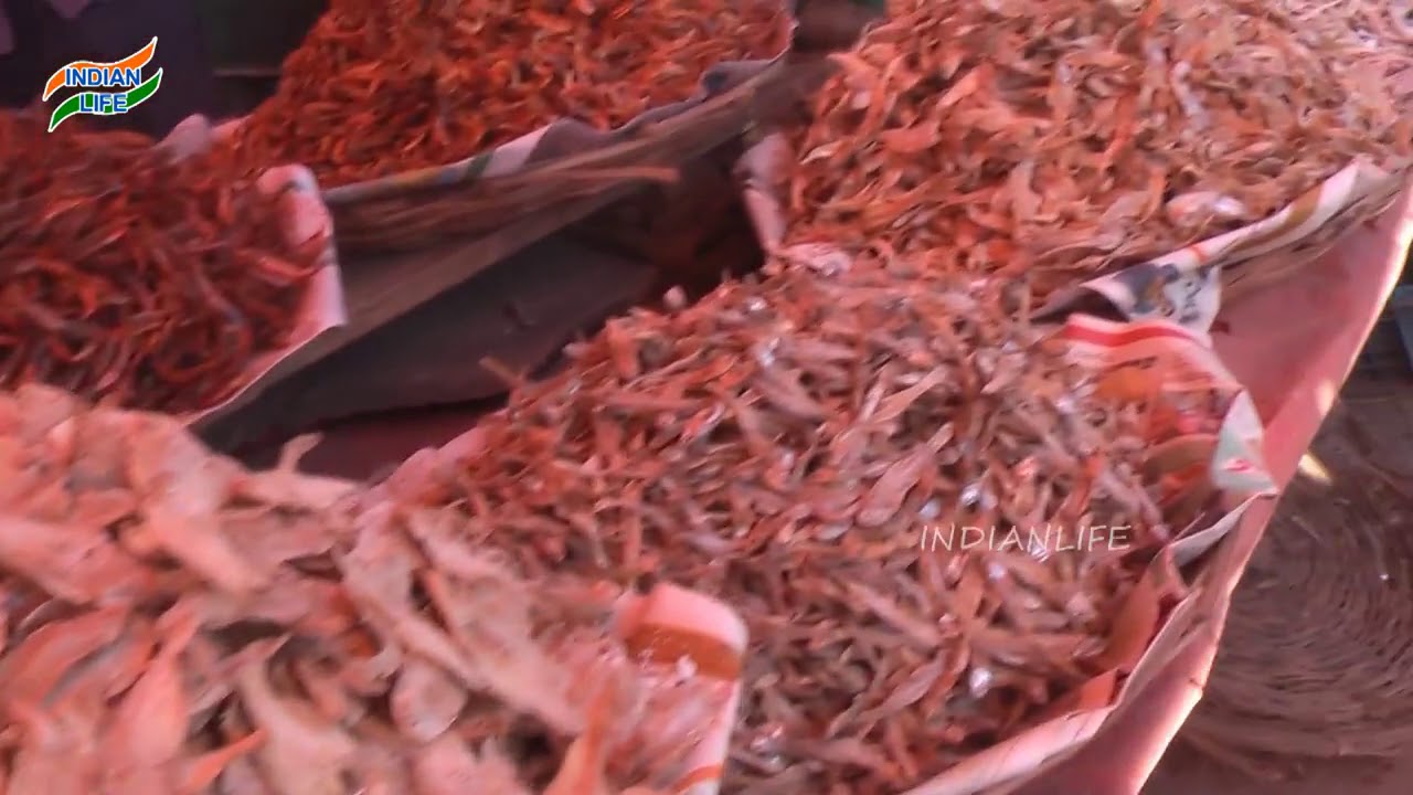FISH MARKET ALL TYPES OF DRY FISHES | INDIAN MARKETS