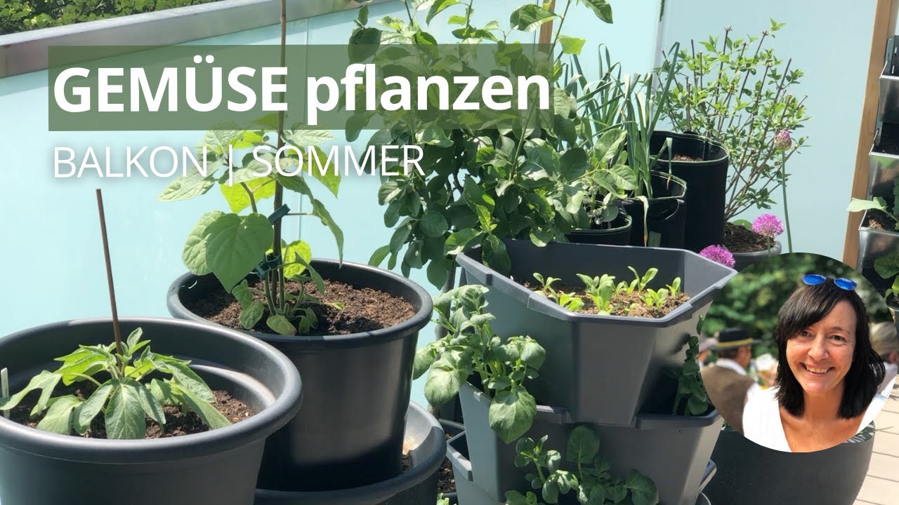 GEMÜSE pflanzen BALKON: Diese Gemüse pflanze ich im Mai für den Sommer
