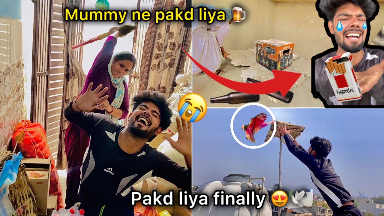 Plot per aagyi mummy 😮 ( Colorfull pigeon pakd liya 😍 ) Drink krte hua pakd liya 🍺