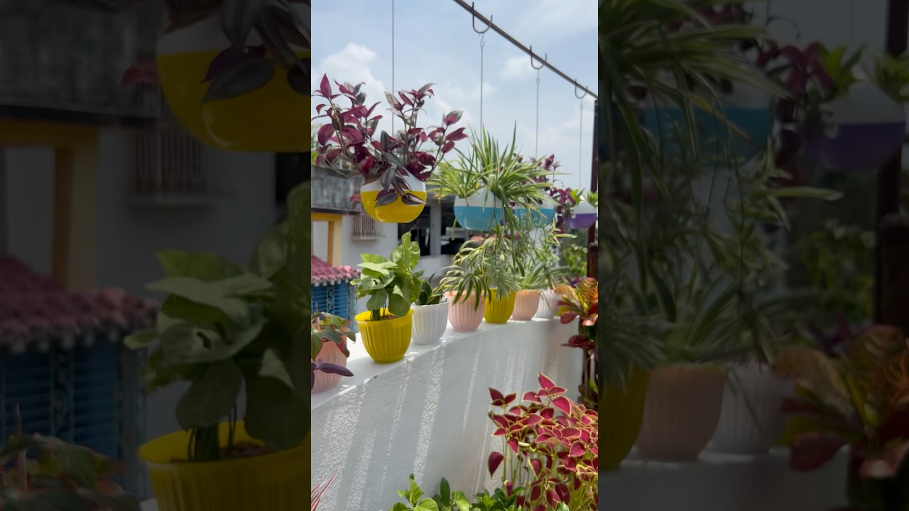 Terrace garden decor ideas ☘️ #trendingshorts