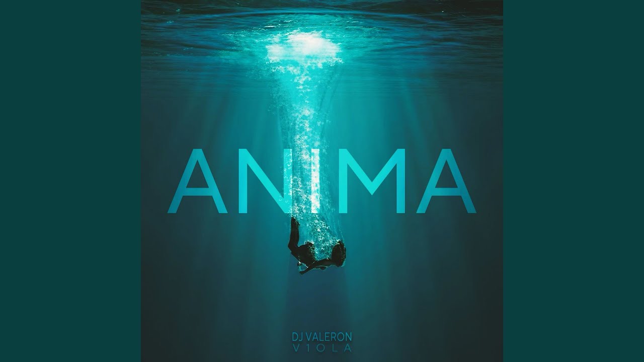 Anima (feat. V1ola)