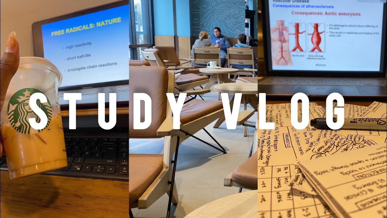 Study vlog: Productive 72-HOURS before my biomedical science exam| Final year student
