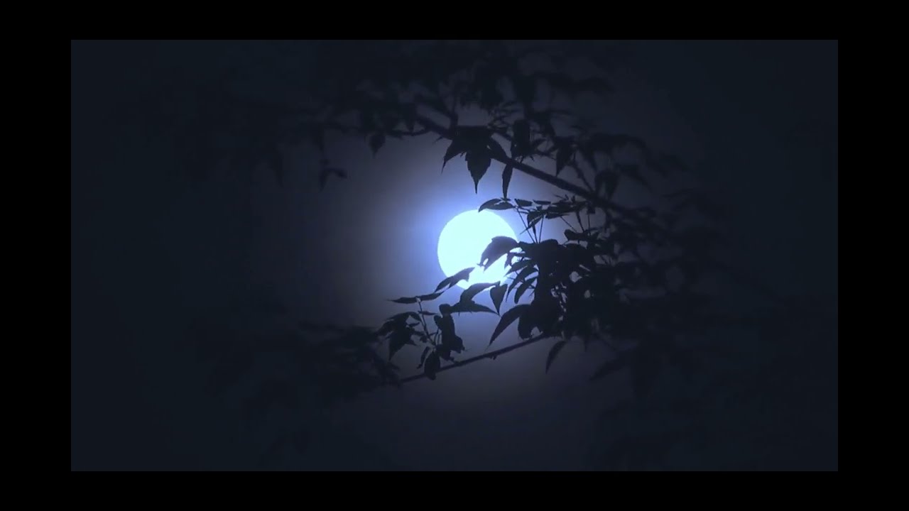 Shadows Of Evil Ultra Slowed + Reverb