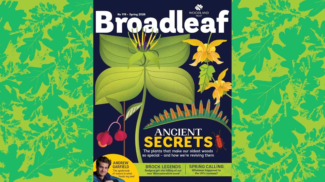 Broadleaf 119 Spring 2026 Audiobook