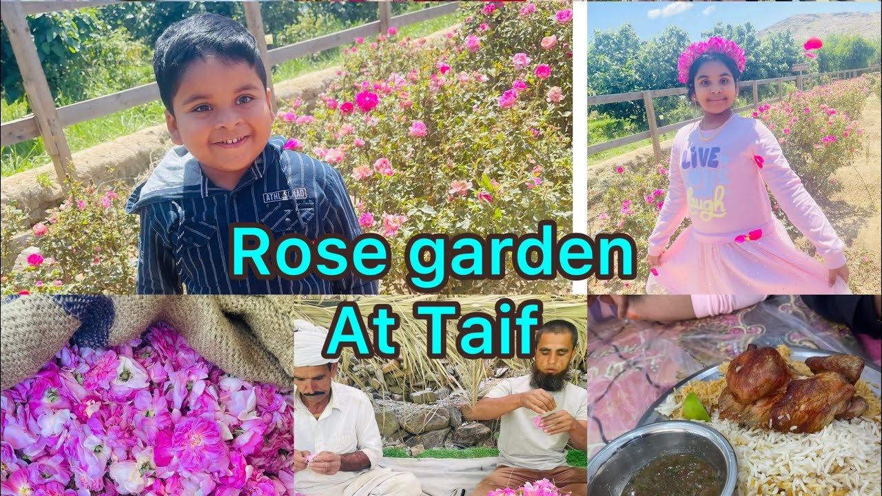 Rose garden at Taif | Chicken Mandi for 20riyal | Summer trip 2024