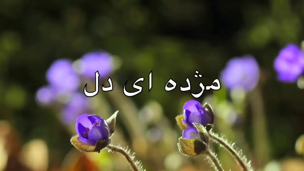 نشيد مژده اي دل