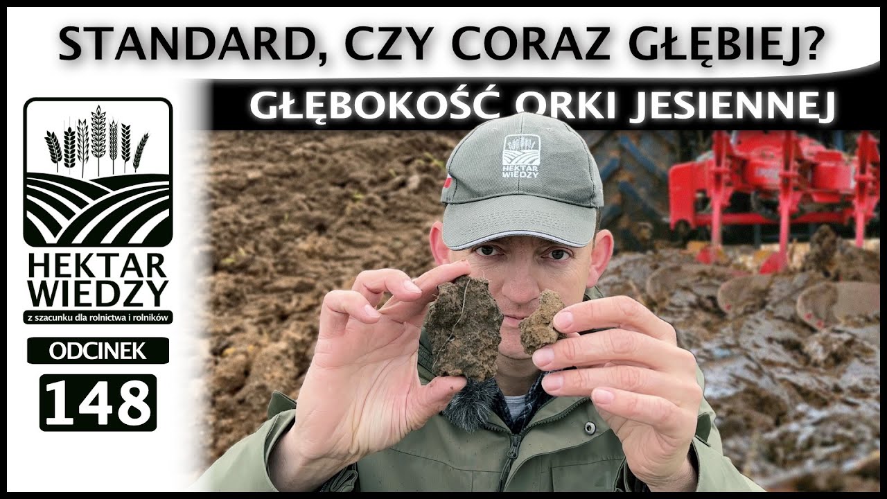 JAK WAŻNA JEST WOLNOŚĆ | STANDARD, CZY CORAZ GŁĘBIEJ? GŁĘBOKOŚŚĆ ORKI JESIENNEJ  | ODCINEK 148