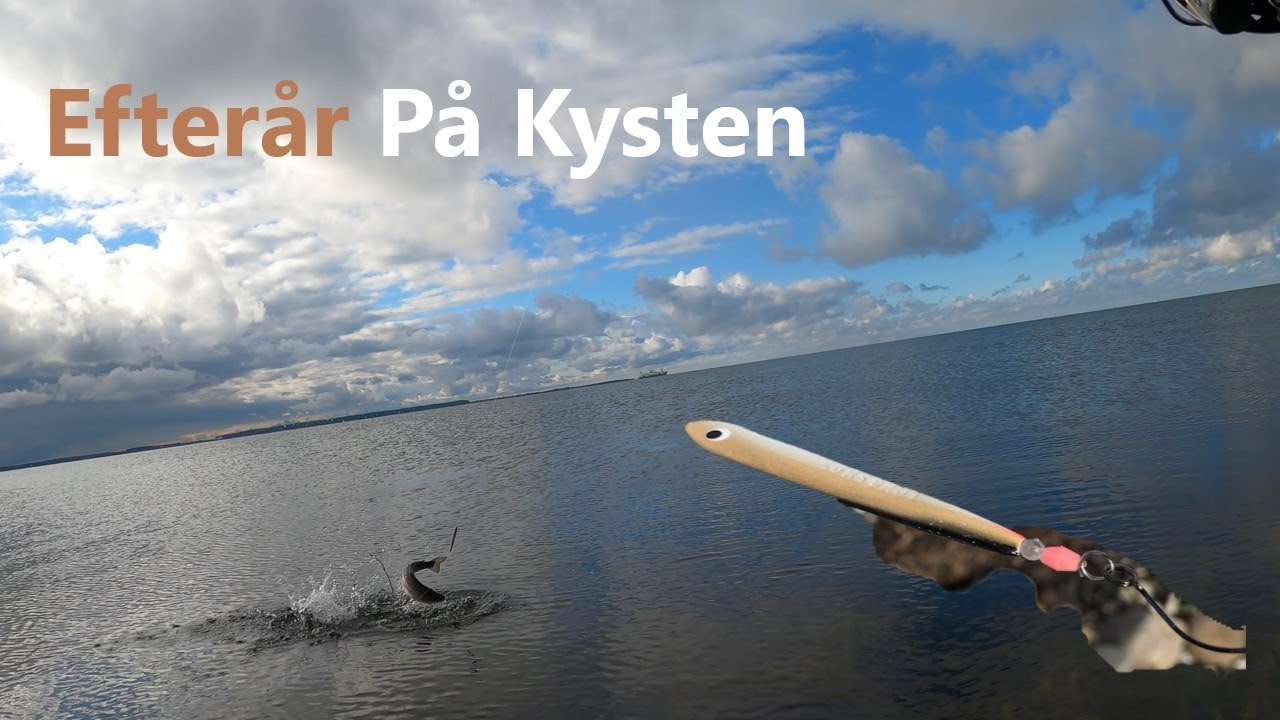 Efterår På Kysten