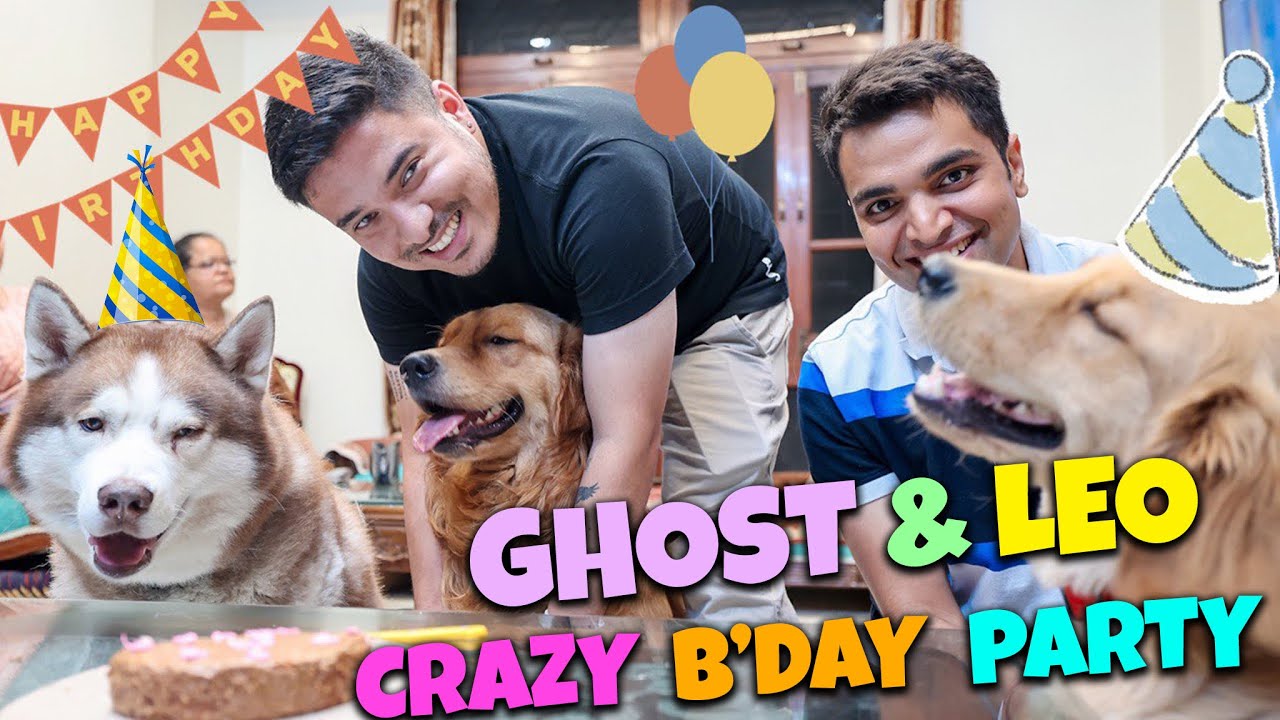 Ghost and Leo ki crazy Bday party 🥳🙈🎉 SUPER CRAZY VLOG 🤪🥳 Wuhooooo! @THE HIMALAYAN HUSKY
