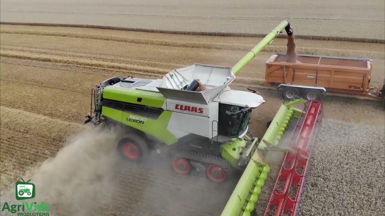Claas Lexion 8800 Harvesting Wheat