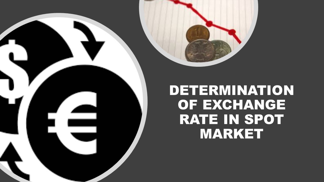 DETERMINATION OF EXCHANGE RATE IN SPOT MARKET