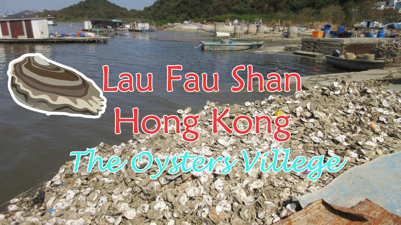 Lau Fau Shan Hong Kong - The Land of The Oysters - Walk Through the Beautiful Seafood Market