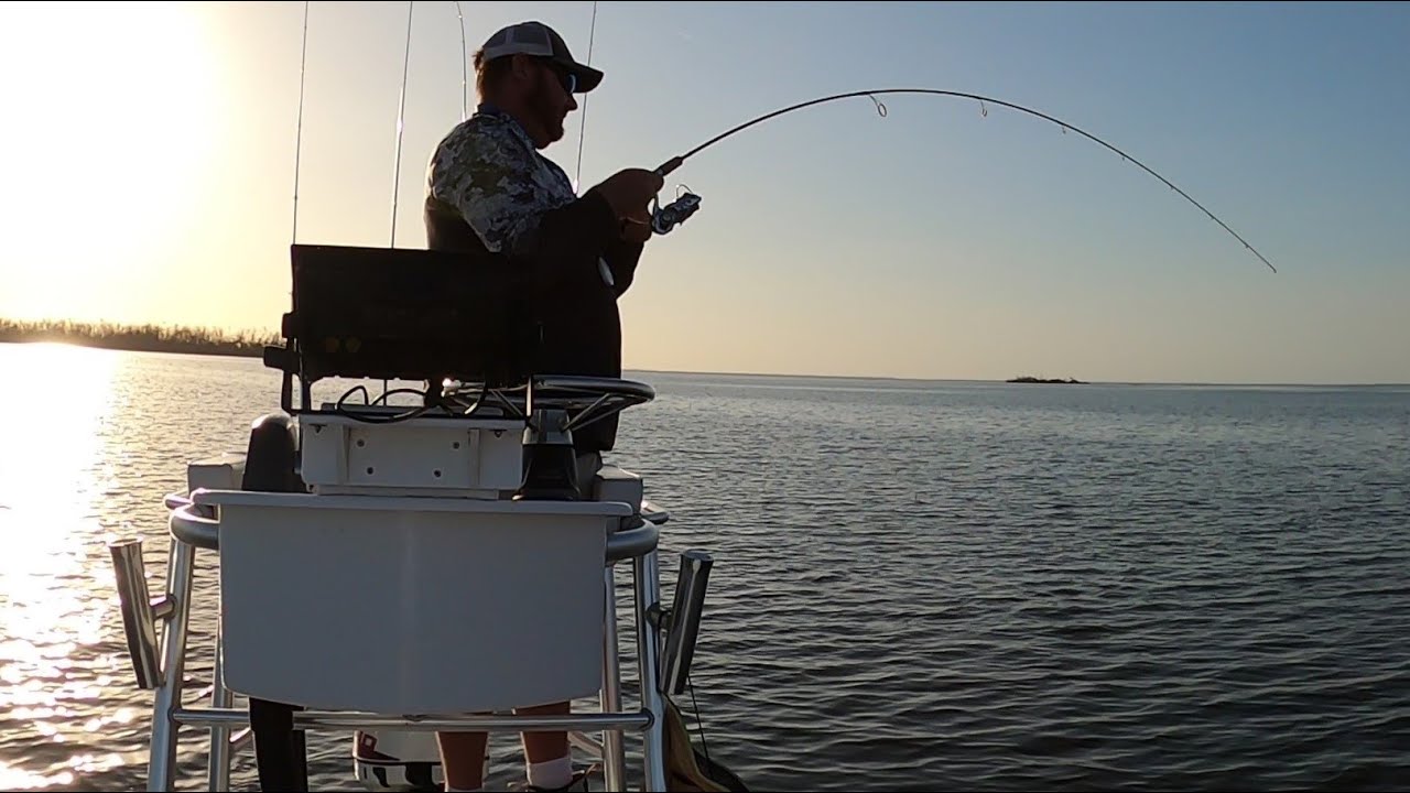 Rare Small Tower Boat Finds the Fish - Sight Fishing Fun!