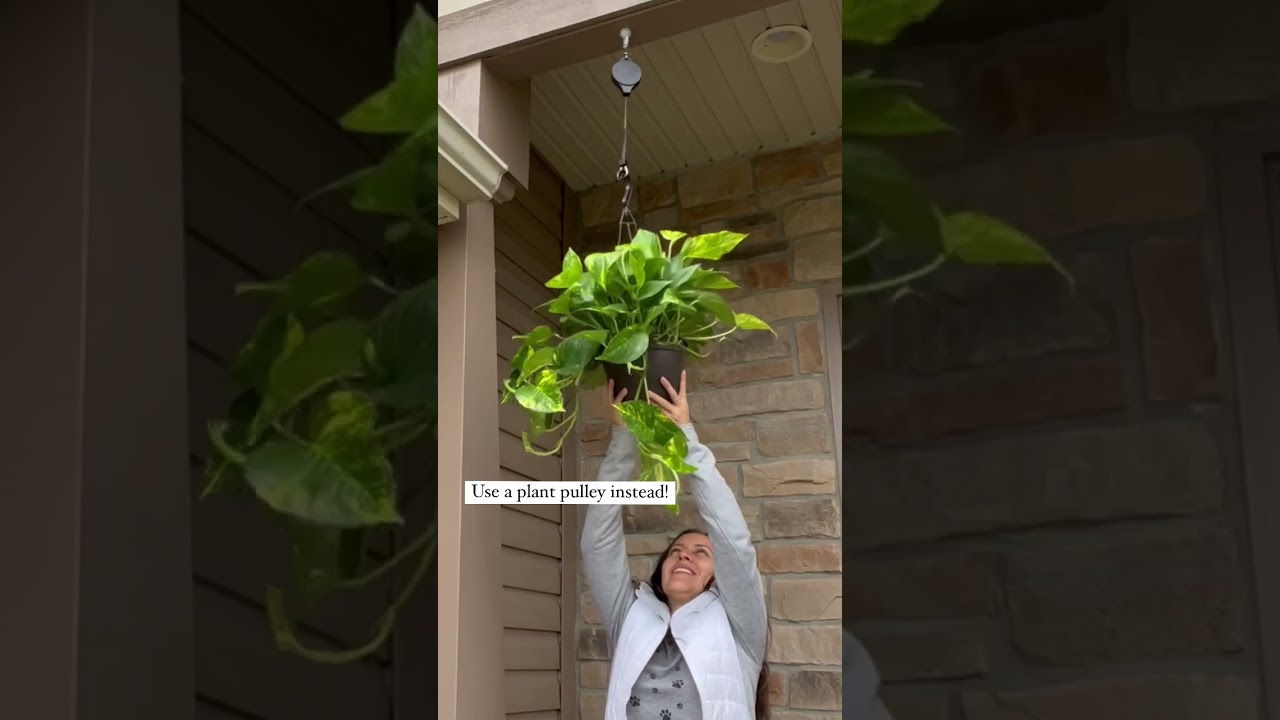 A tool to help you with your hanging plants #planthanger #plantcare #plantlovers