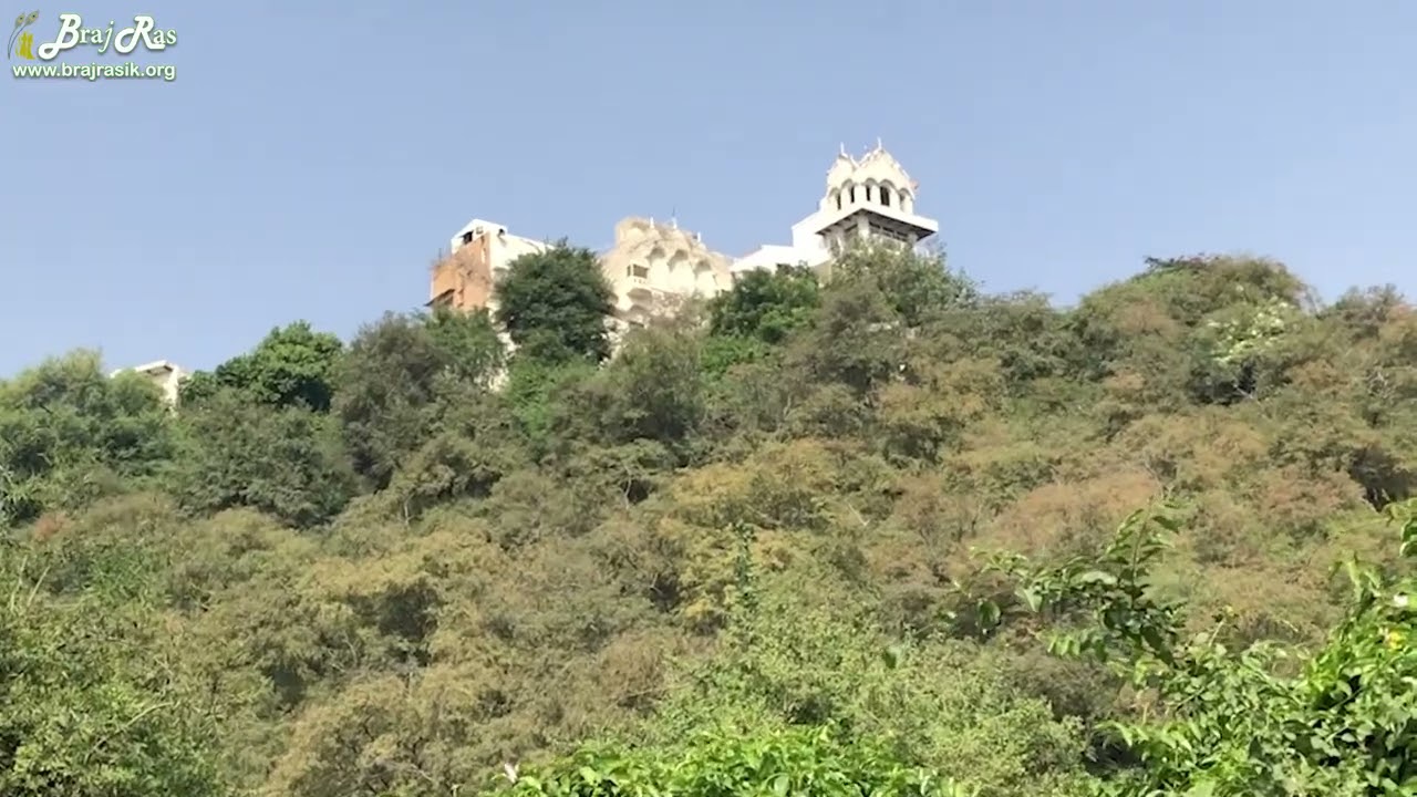 [Short] Gahvarvan Parikrama, Barsana | गहवर वन परिक्रमा, बरसाना