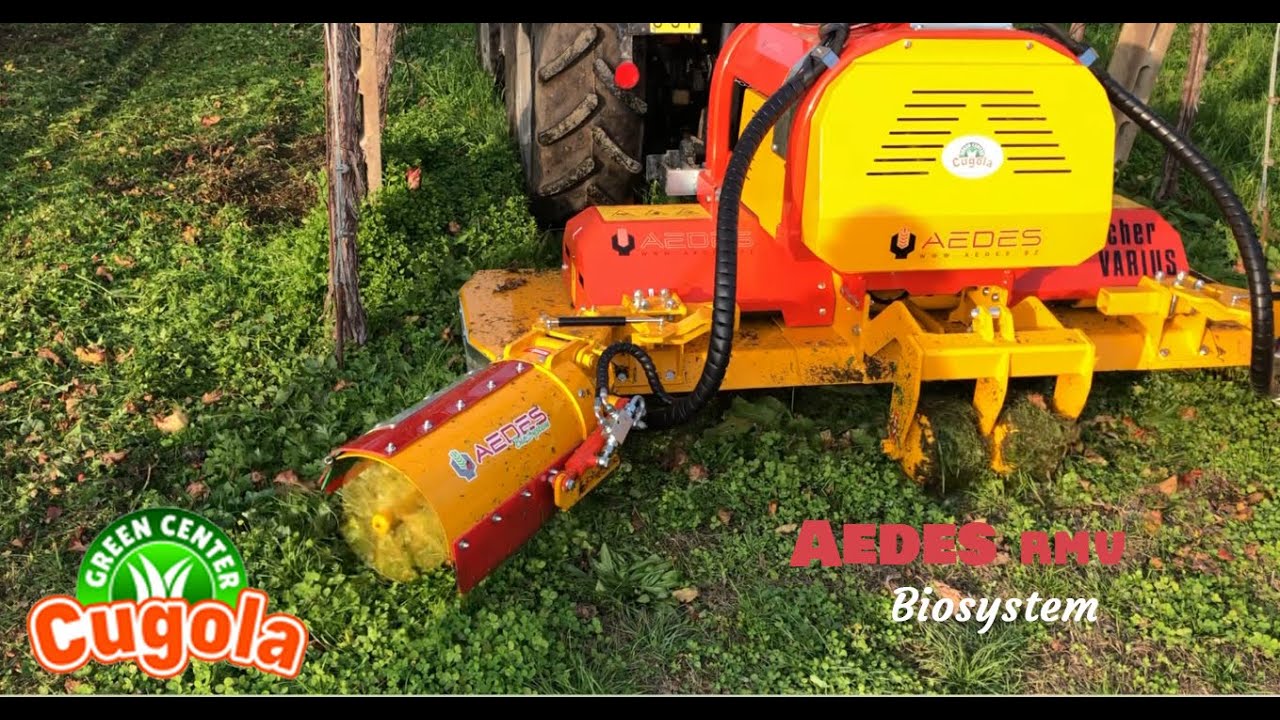 TAGLIAERBA Aedes Rmv con BioSystem bilaterale