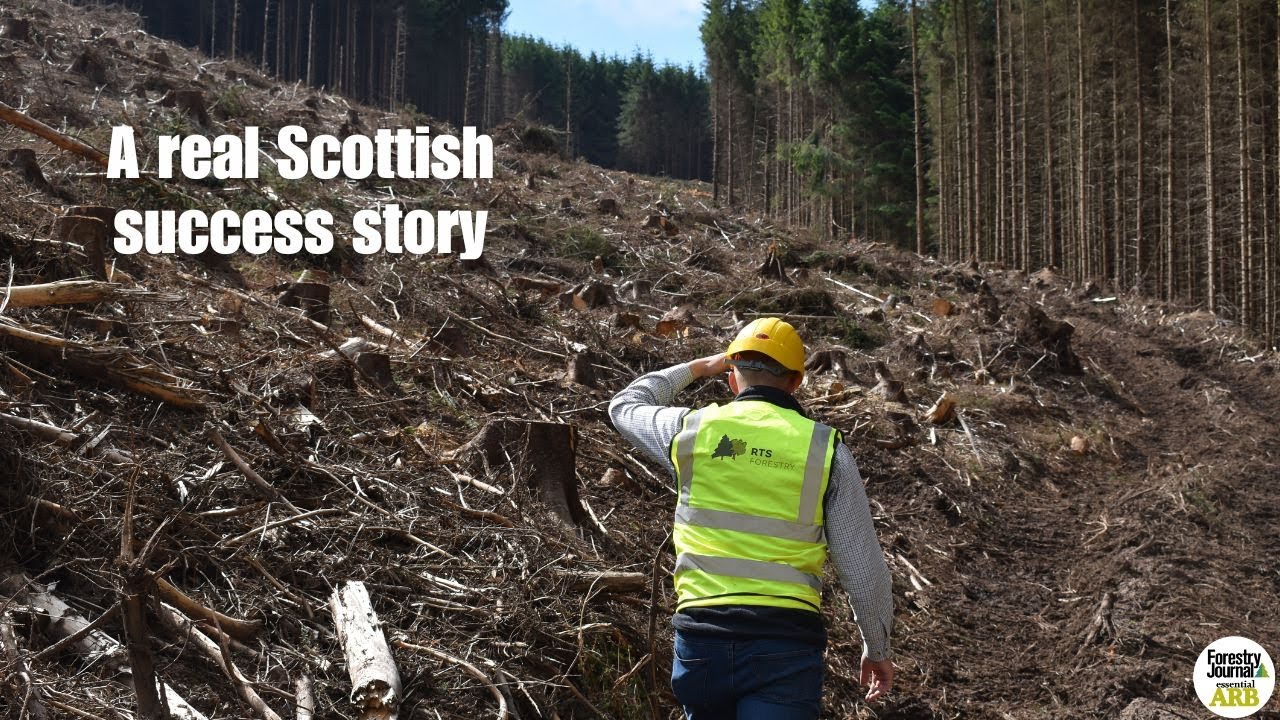 Forest management, timber harvesting and woodfuel: RTS Forestry at 40