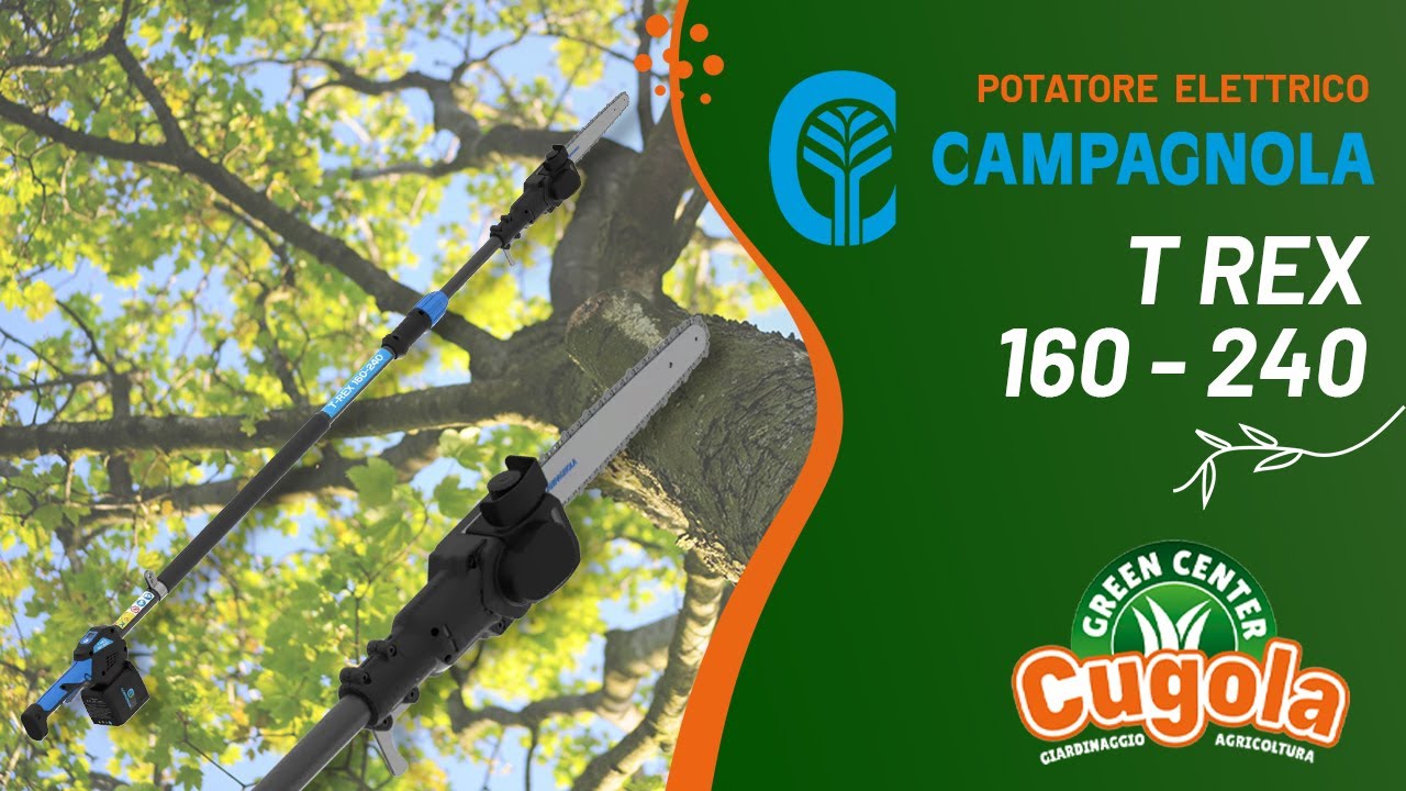 Campagnola T REX 160-240 - Potatore elettrico su asta | Acquistalo su Cugola.it