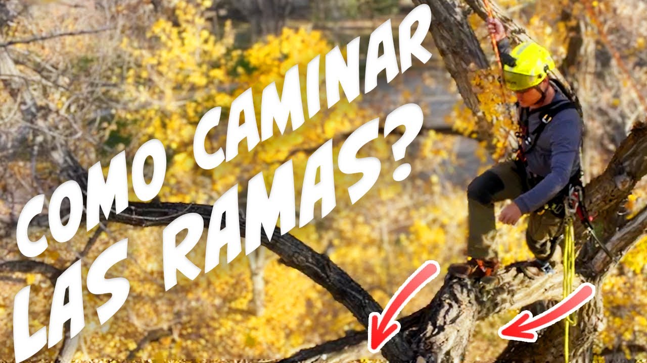 Как легко ходить по веткам🌳