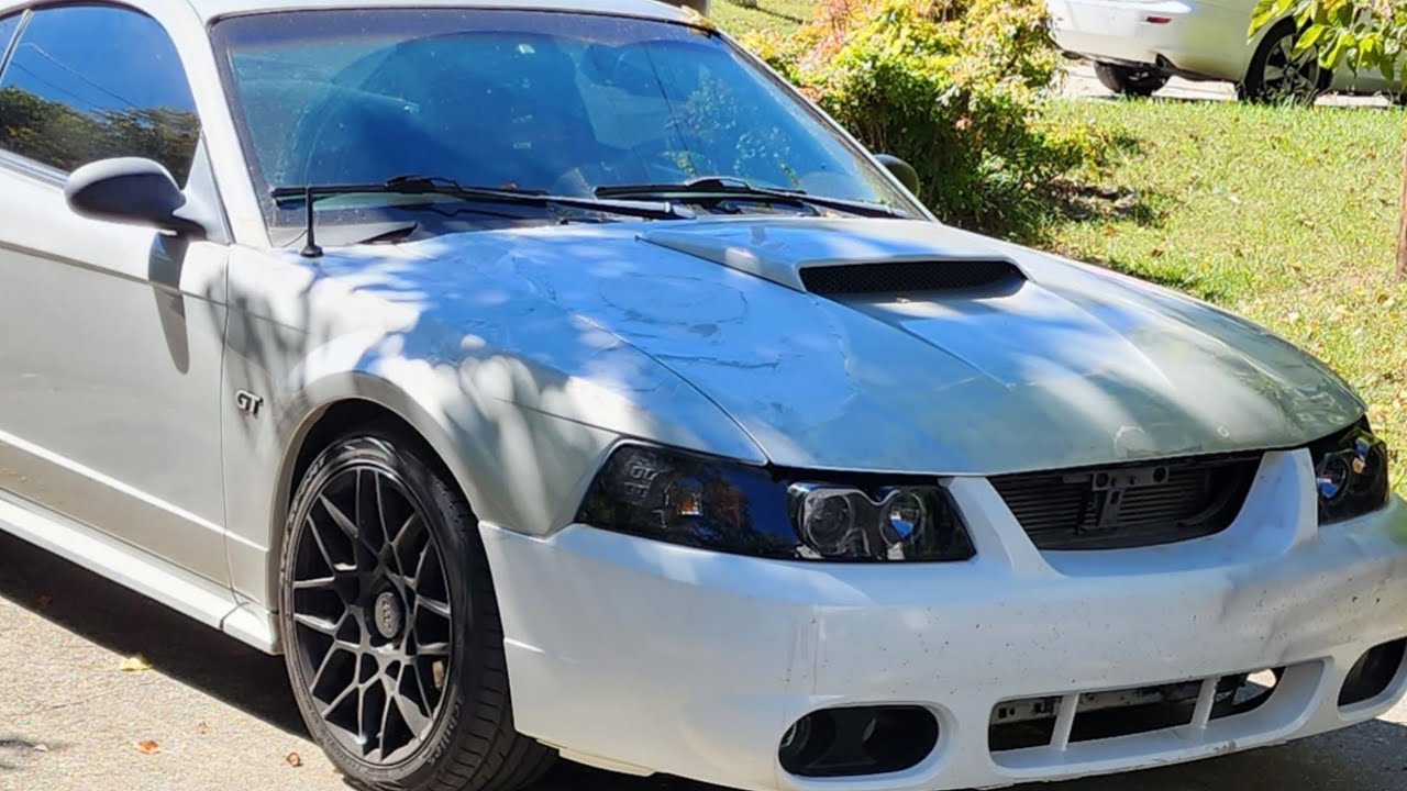 MAACO paint job review!! Restoring a 2002 Mustang GT