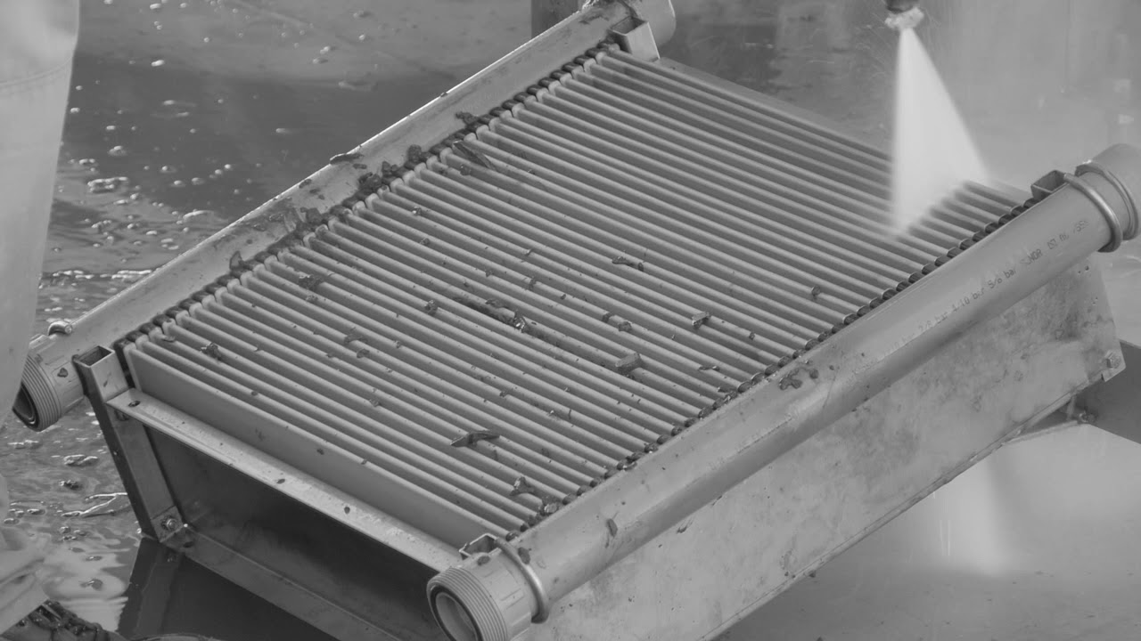 Membrane cleaning