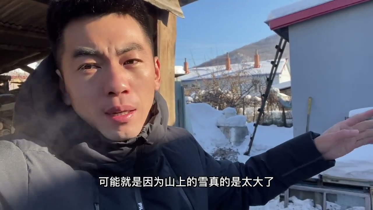山狸子进村啦，昨晚又吃了我家一只小黄鸡儿 #爱护大自然保护野生动物