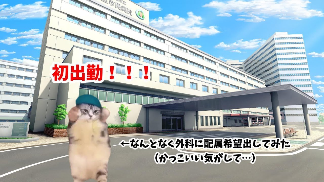 新卒看護師の日常【猫ミーム】