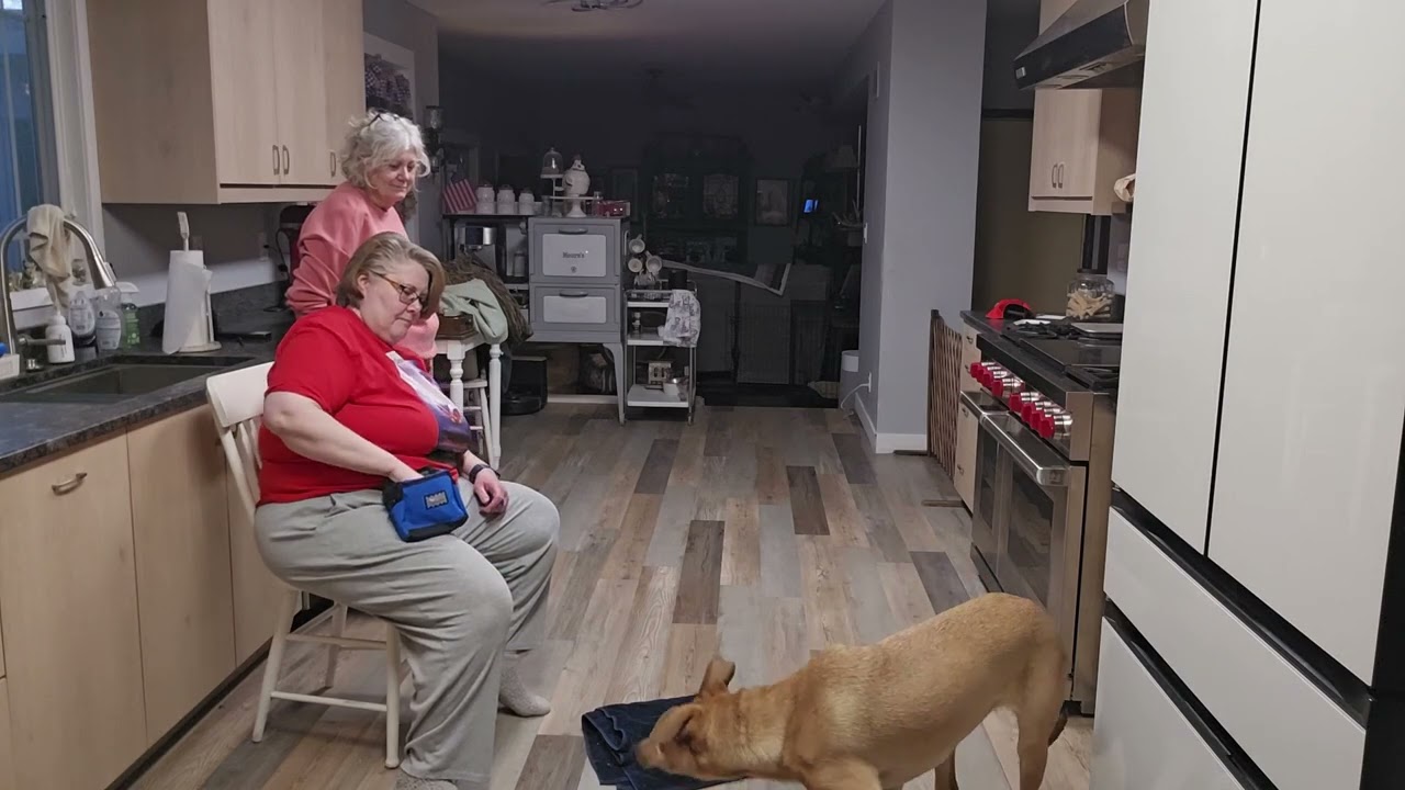 Exercise 20.2 on cue