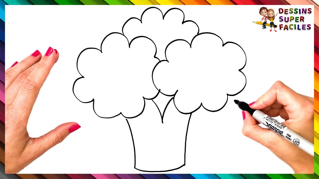Comment Dessiner Un Brocoli &Eacute;tape Par &Eacute;tape 🥦 Dessin Facile De Brocoli