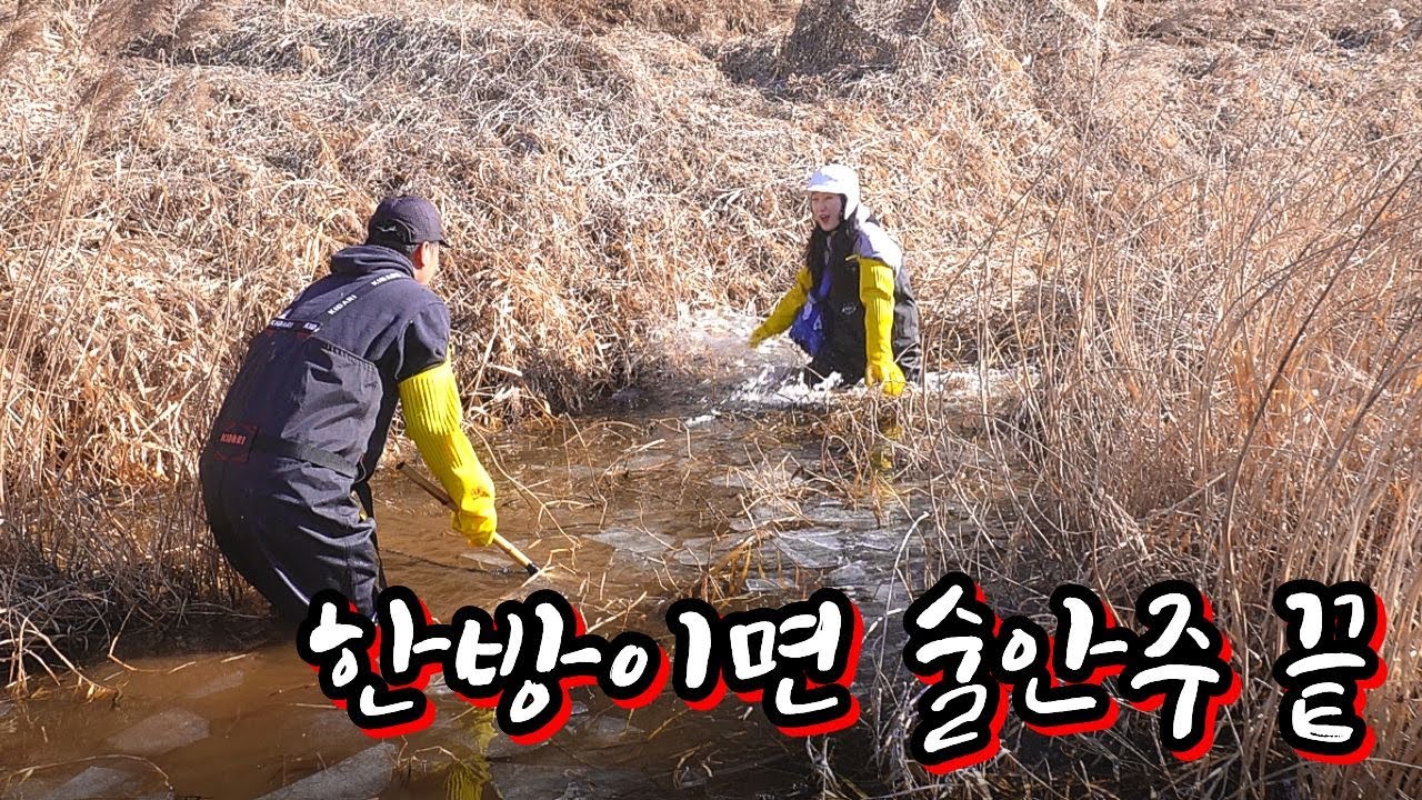 얼음 밑 수천 마리의 물고기가 모여있다 !!!!