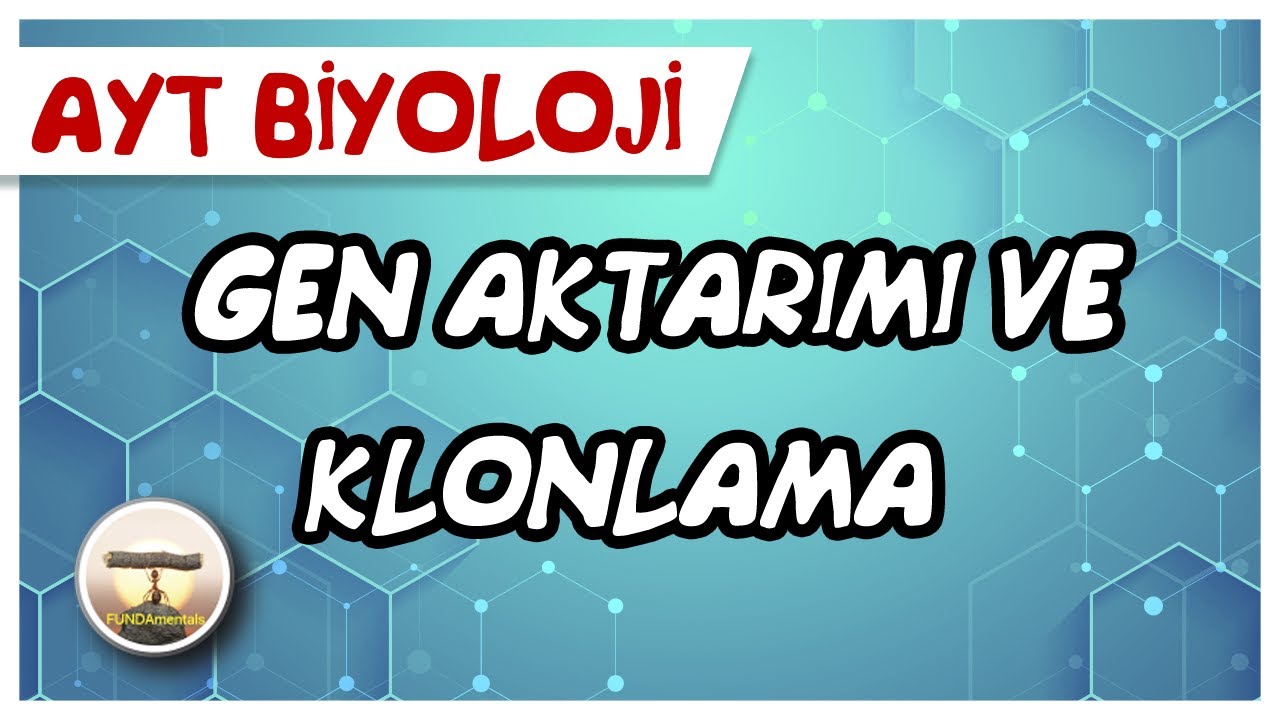 AYT Biyoloji | Gen Aktarımı ve Klonlama #sayfa146