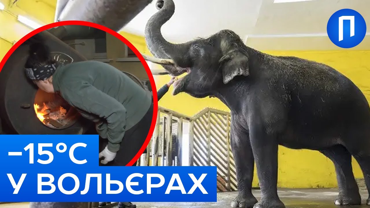 ПІЧКА для СЛОНА: 