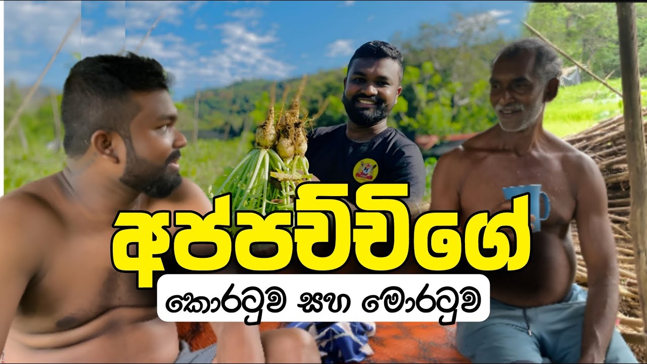 Today We Are Going To Our Village JANATHAPURA #cookwithchavi #village