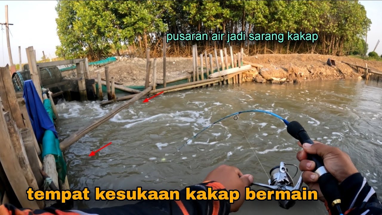 Mancing kakap putih saat air masuk joran Sampe meletott 🥵