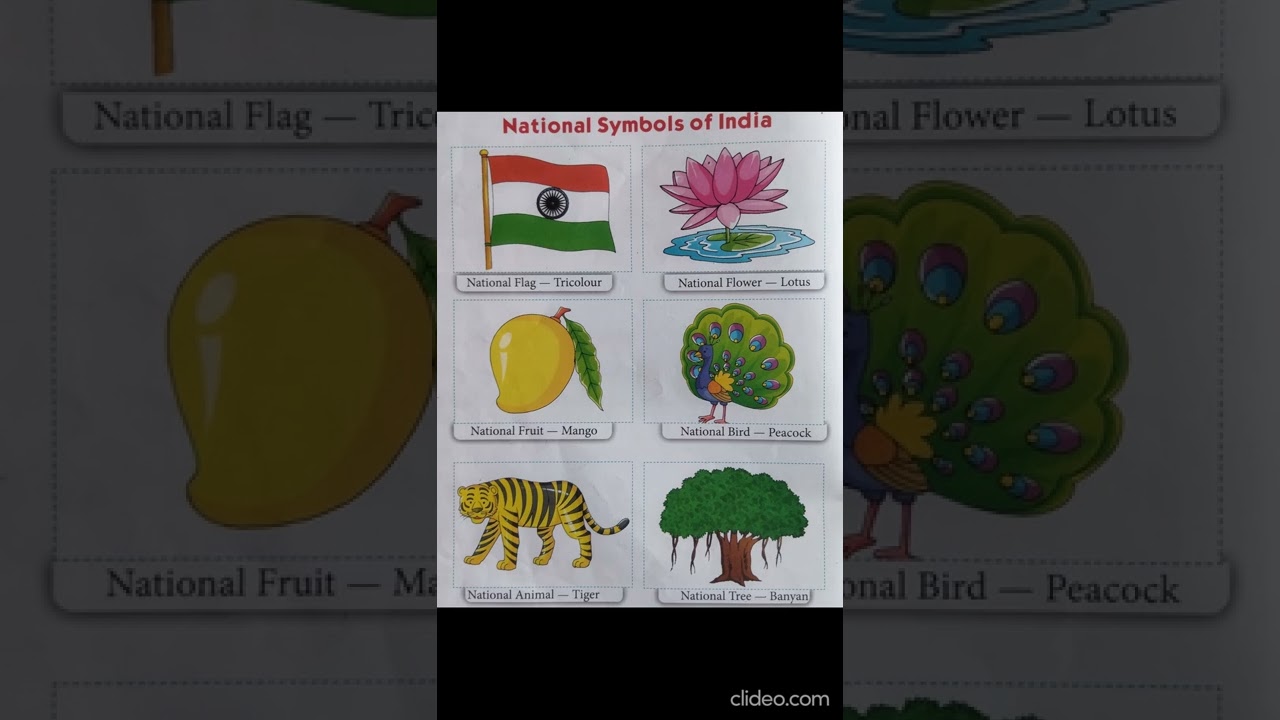 National Symbols of India 🇮🇳 