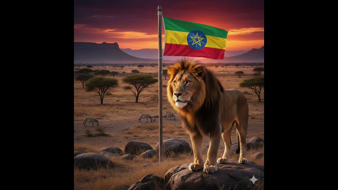 Yenugusan arma (Y&do) New Ethiopian Music 2026 #ethiopianmusic #etiopia #tigray #eritrea 