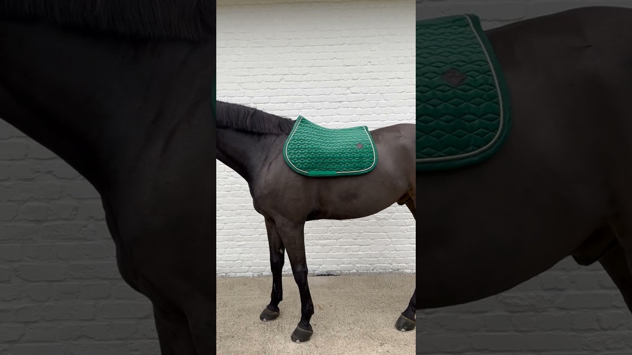 Velvet saddle pads | Kentucky Horsewear #shorts #equestrian