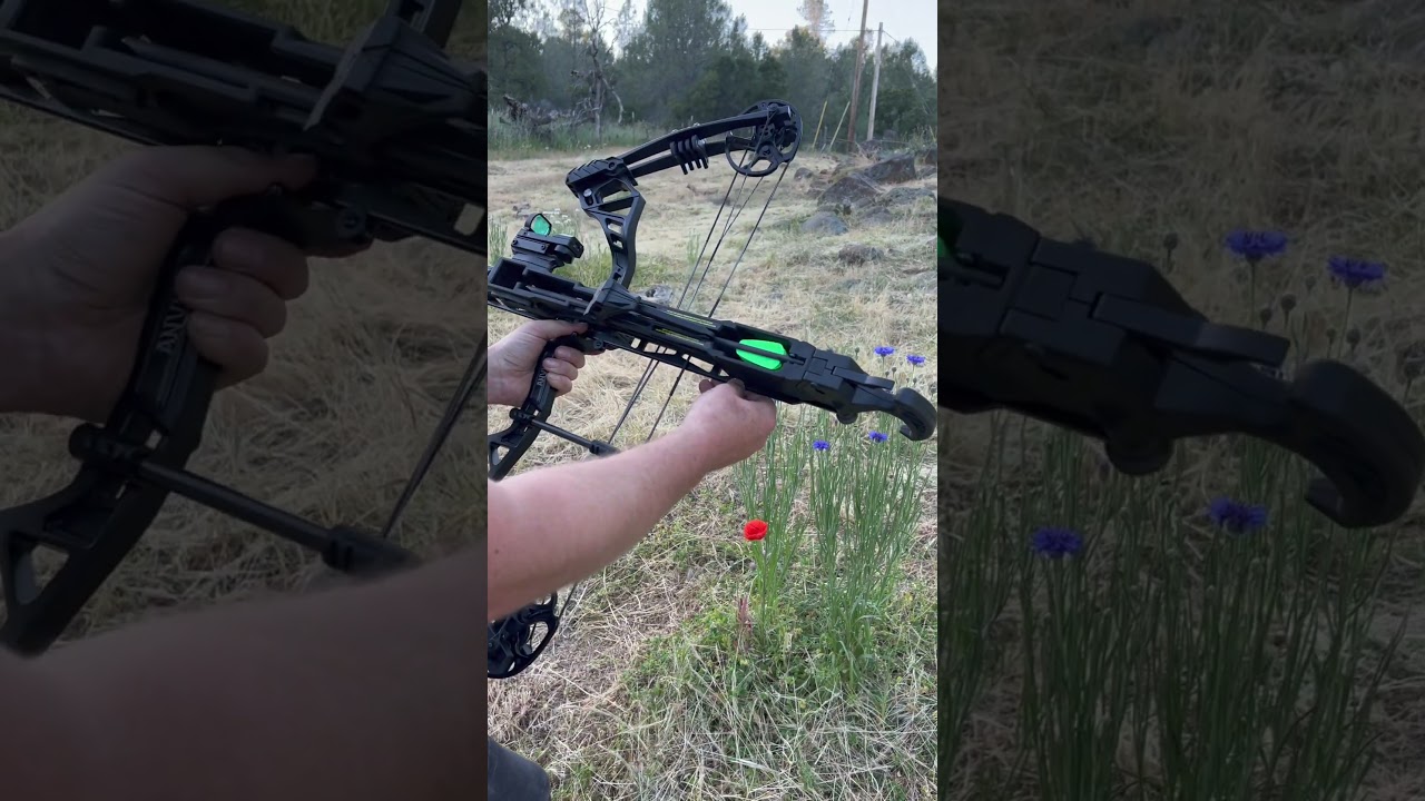 Журнал о стрельбе из лука WHIPSHOT! #стрельбаизлука