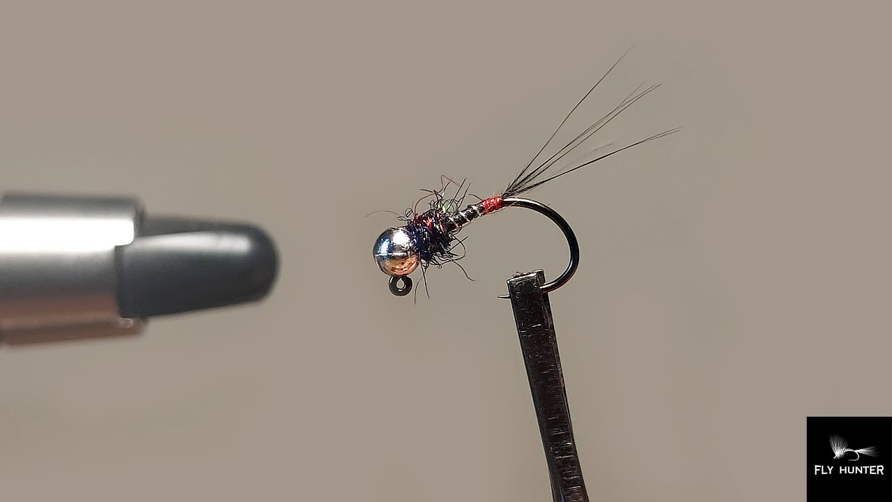 Ninfa SARCA KILLER